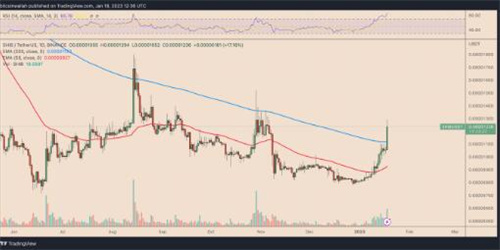 随着Shiba Inu戏弄L2区块链的推出 SHIB价格为75%的繁荣做准备