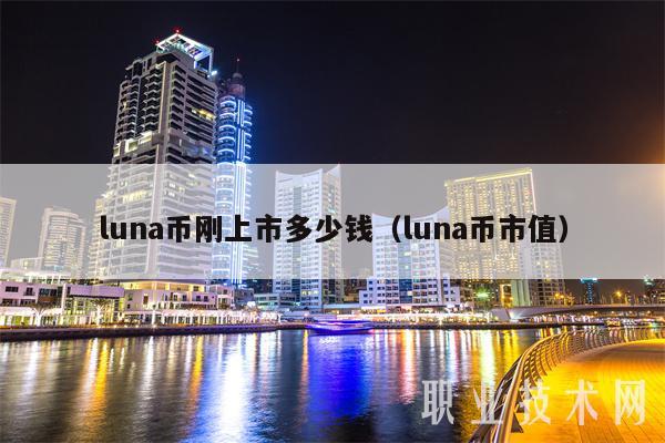 luna币刚上市多少钱（luna币市值）