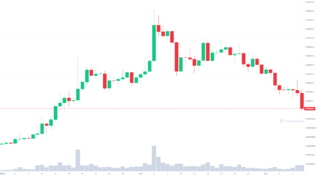 shib最新消息分析（SHIB今年以 23% 的价格涨幅超过狗狗币）