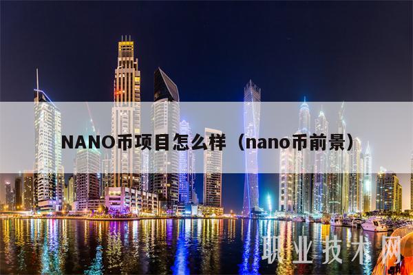 NANO币项目怎么样（nano币前景）