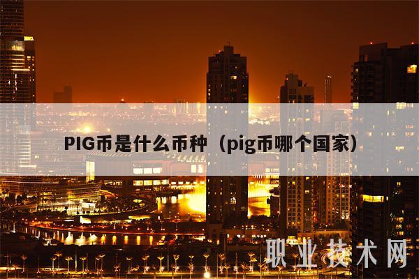 PIG币是什么币种（pig币哪个国家）