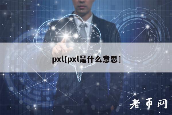 pxl[pxl是什么意思]