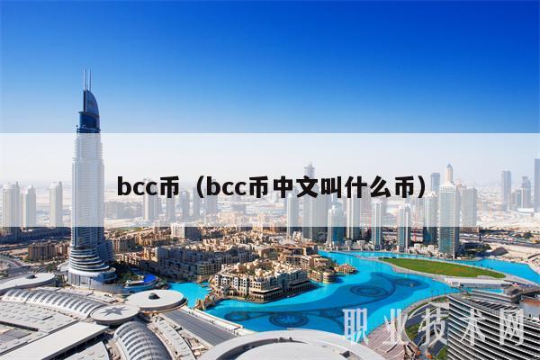 bcc币（bcc币中文叫什么币）