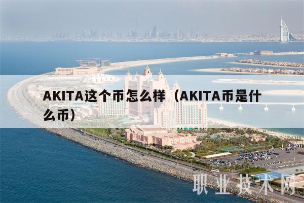 AKITA这个币怎么样（AKITA币是什么币）