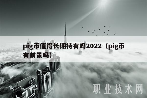 pig币值得长期持有吗2022（pig币有前景吗）