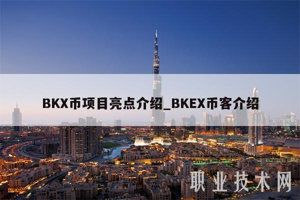 BKX币项目亮点介绍_BKEX币客介绍