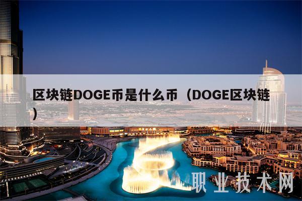 区块链DOGE币是什么币（DOGE区块链）