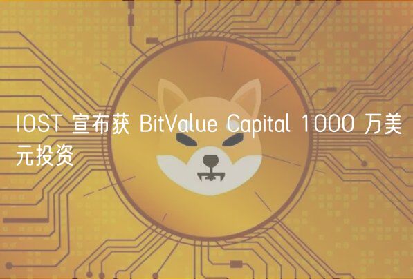 IOST 宣布获 BitValue Capital 1000 万美元投资