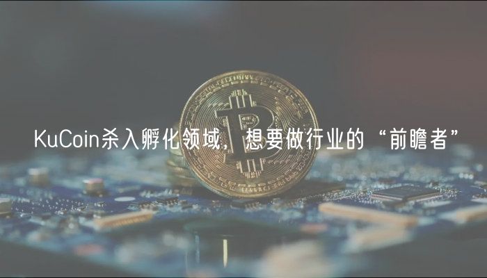 KuCoin杀入孵化领域，想要做行业的“前瞻者”