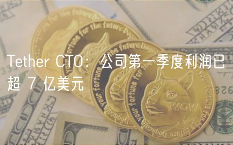 Tether CTO：公司第一季度利润已超 7 亿美元