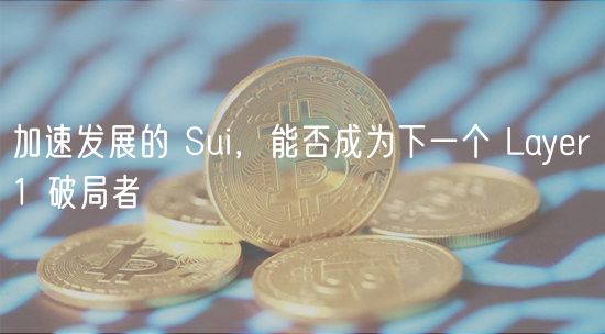 加速发展的 Sui，能否成为下一个 Layer 1 破局者