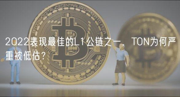 2022表现最佳的L1公链之一，TON为何严重被低估？