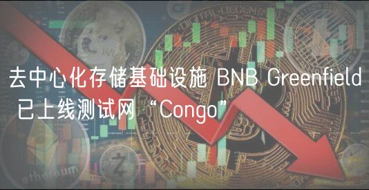 去中心化存储基础设施 BNB Greenfield 已上线测试网“Congo”