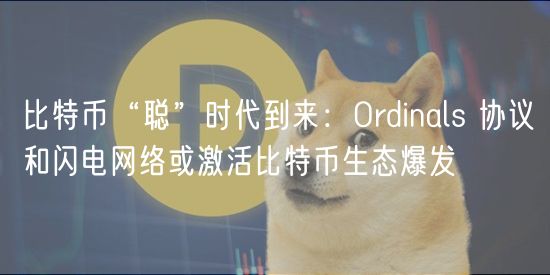 比特币“聪”时代到来：Ordinals 协议和闪电网络或激活比特币生态爆发