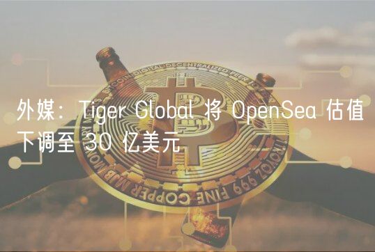 外媒：Tiger Global 将 OpenSea 估值下调至 30 亿美元