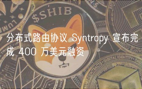 分布式路由协议 Syntropy 宣布完成 400 万美元融资