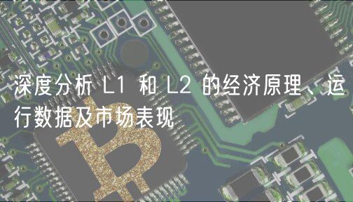 深度分析 L1 和 L2 的经济原理、运行数据及市场表现