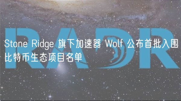 Stone Ridge 旗下加速器 Wolf 公布首批入围比特币生态项目名单