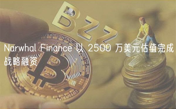 Narwhal Finance 以 2500 万美元估值完成战略融资