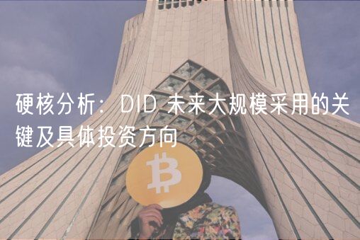 硬核分析：DID 未来大规模采用的关键及具体投资方向