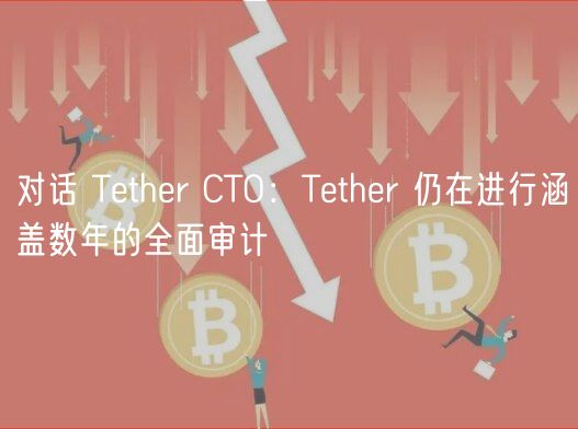 对话 Tether CTO：Tether 仍在进行涵盖数年的全面审计