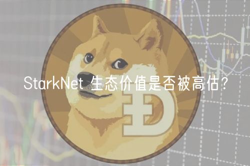 StarkNet 生态价值是否被高估？