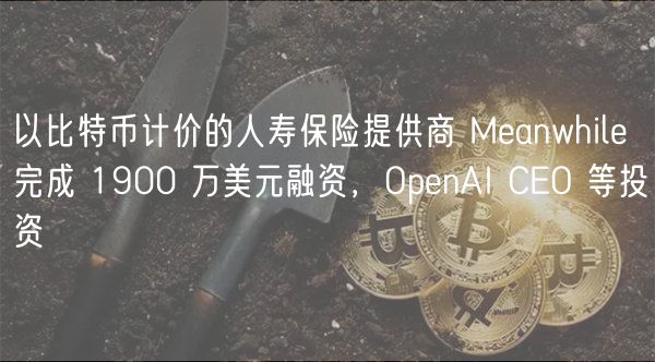 以比特币计价的人寿保险提供商 Meanwhile 完成 1900 万美元融资，OpenAI CEO 等投资