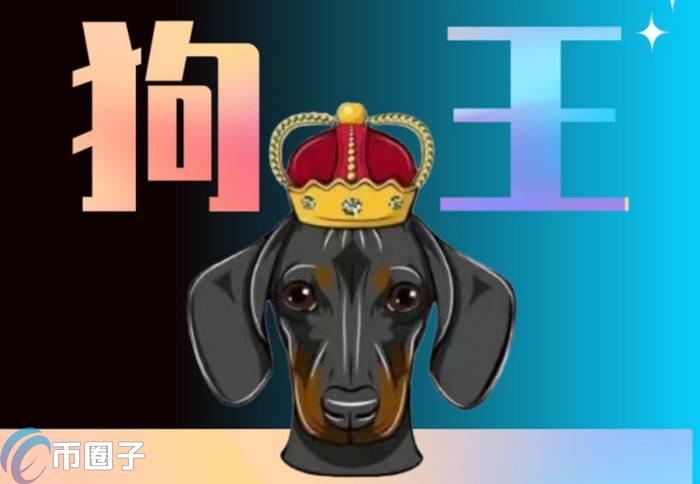 DOGEKING是什么币种？一文了解DOGEKING币